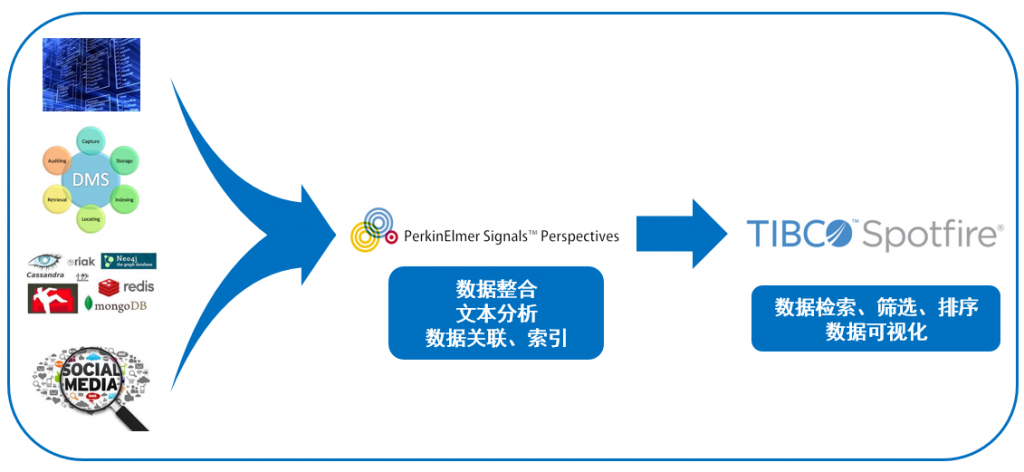开云APP-数据分析：国际迈阿密历史战绩与本届展望的简单介绍