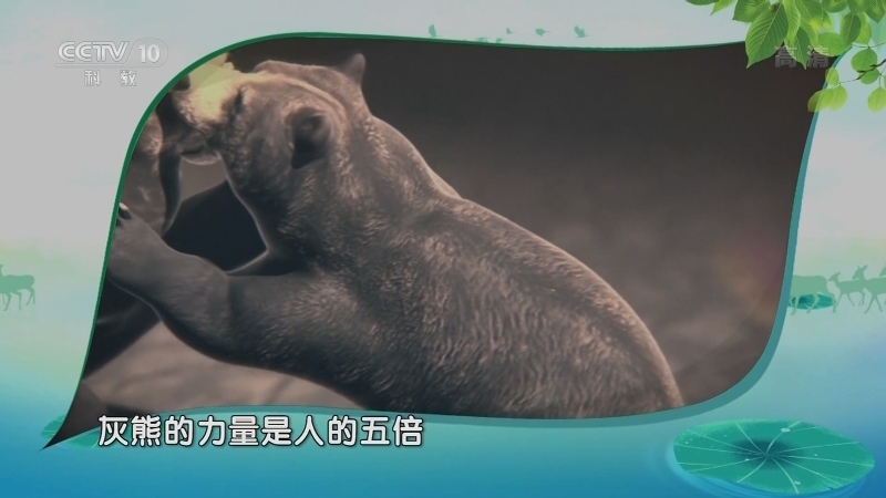 开云下载-灰熊逆袭毒蛇，实现胜利逆转取胜