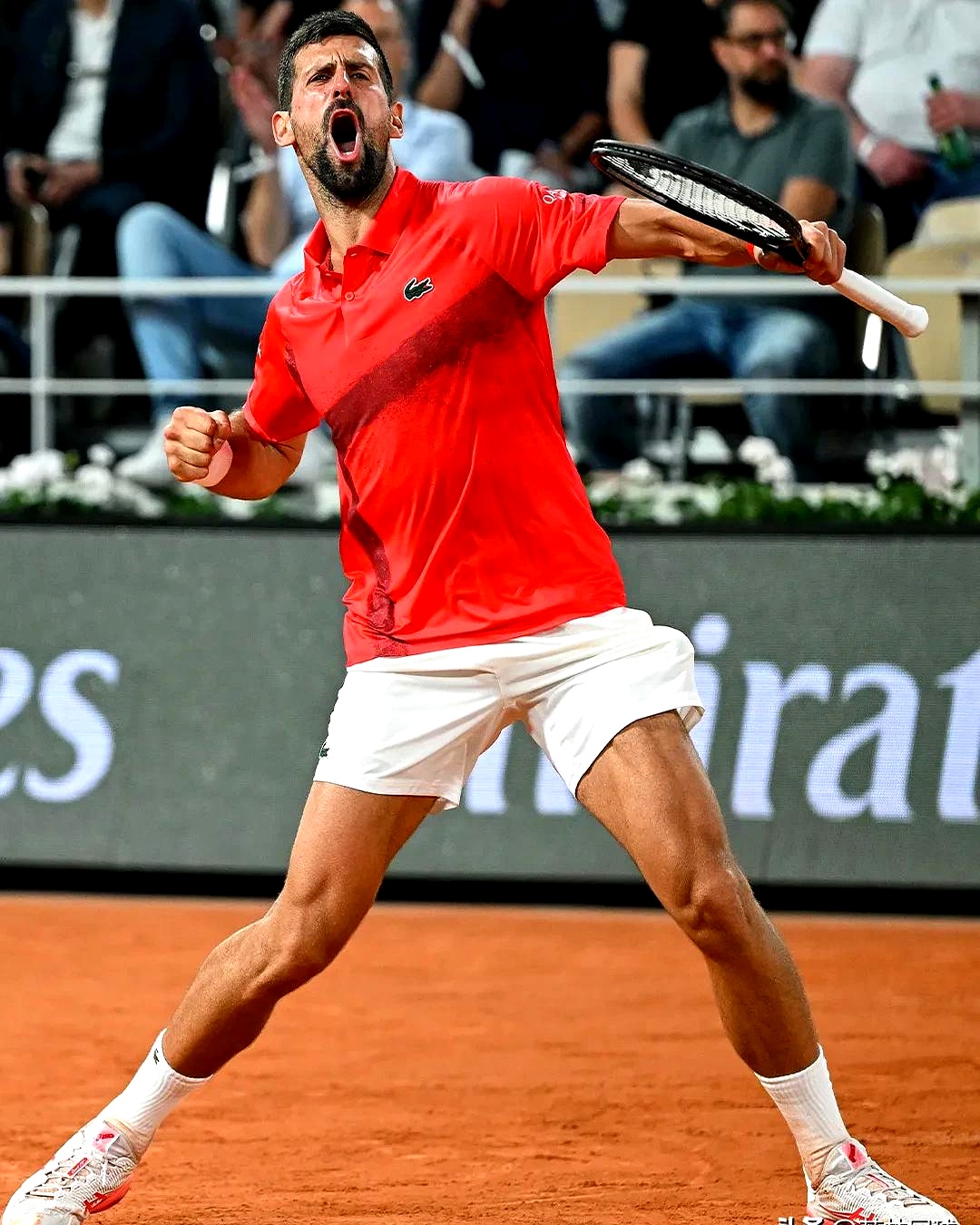 法网险胜年终总决赛,德约科维奇高光表现 法网险胜年终总决赛,德约科维奇高光表现