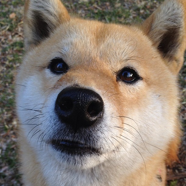 爆冷！深圳队力克上海队，塔图姆式关键先生闪耀赛场