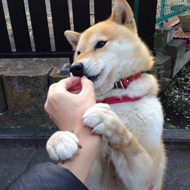 开云体育在线-压哨绝杀！浙江队险胜吉林队，浓眉稳定输出不掉线