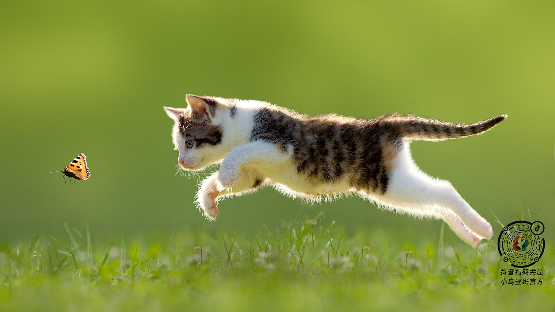 绿茵无疆界，当委内瑞拉遇上佛罗伦萨，三笘薰的硬仗哲学