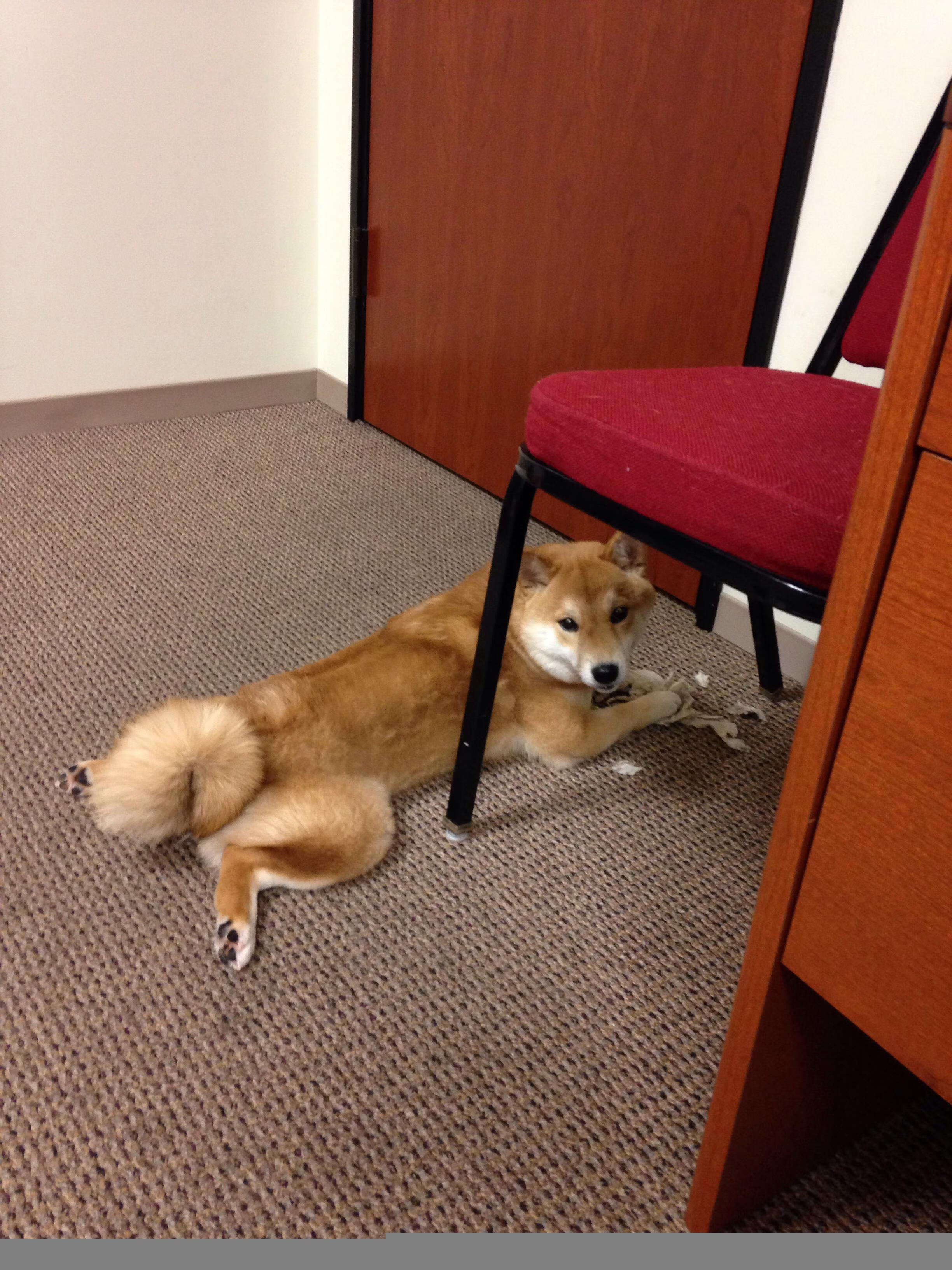 格纳布里生涯之夜刷新极限,皇家社会主场轻取曼城