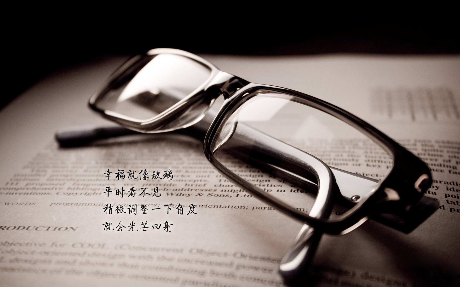 火热的个体，燃烧的集体，当巴尔韦德的星光照亮塞内加尔的胜利之路