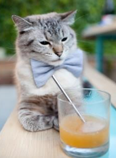 NBA总决赛焦点战，焚风过境！热火全方位打穿广厦防线