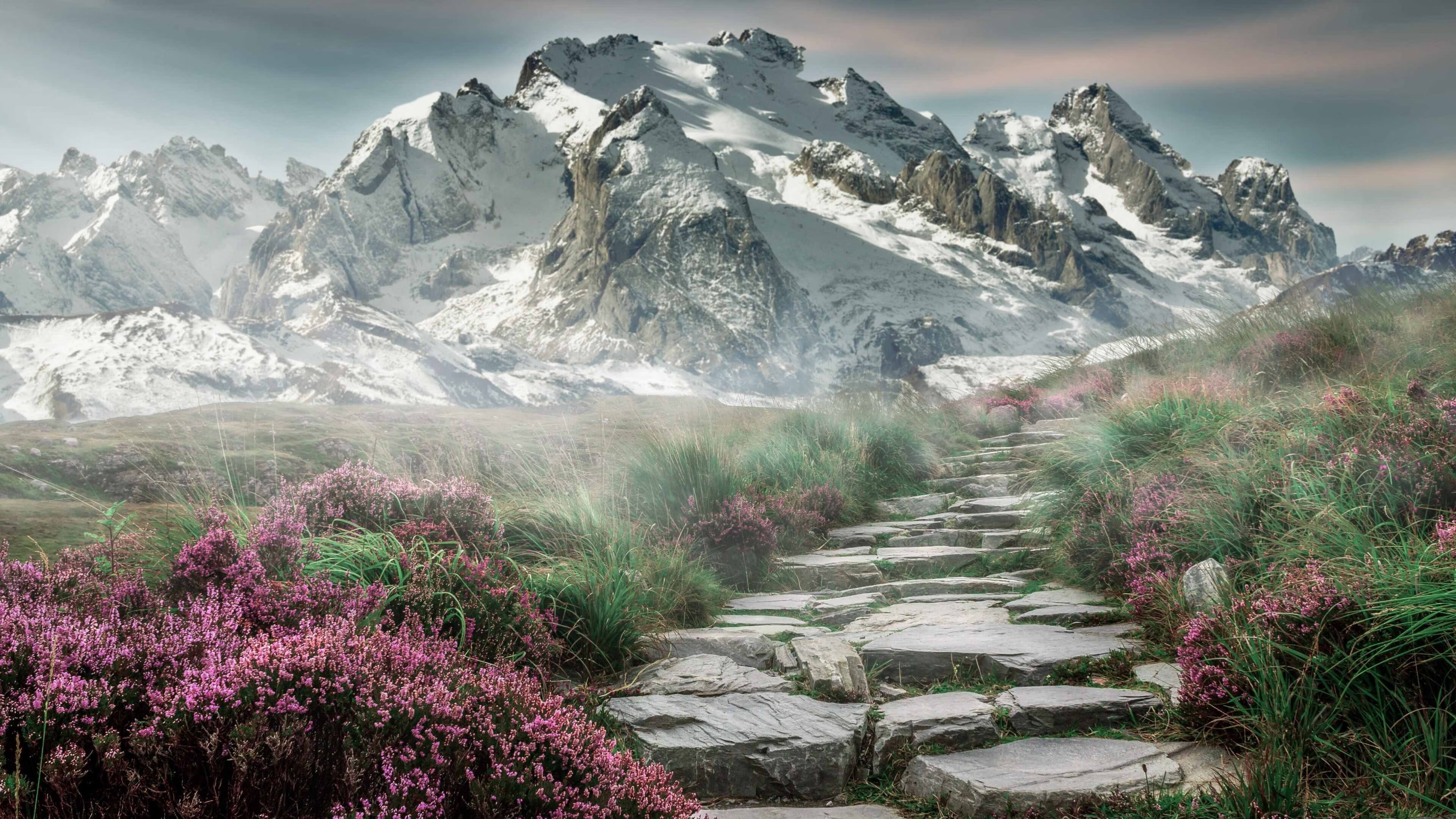 巅峰决战夜，克莱三分雨诠释汤神模式