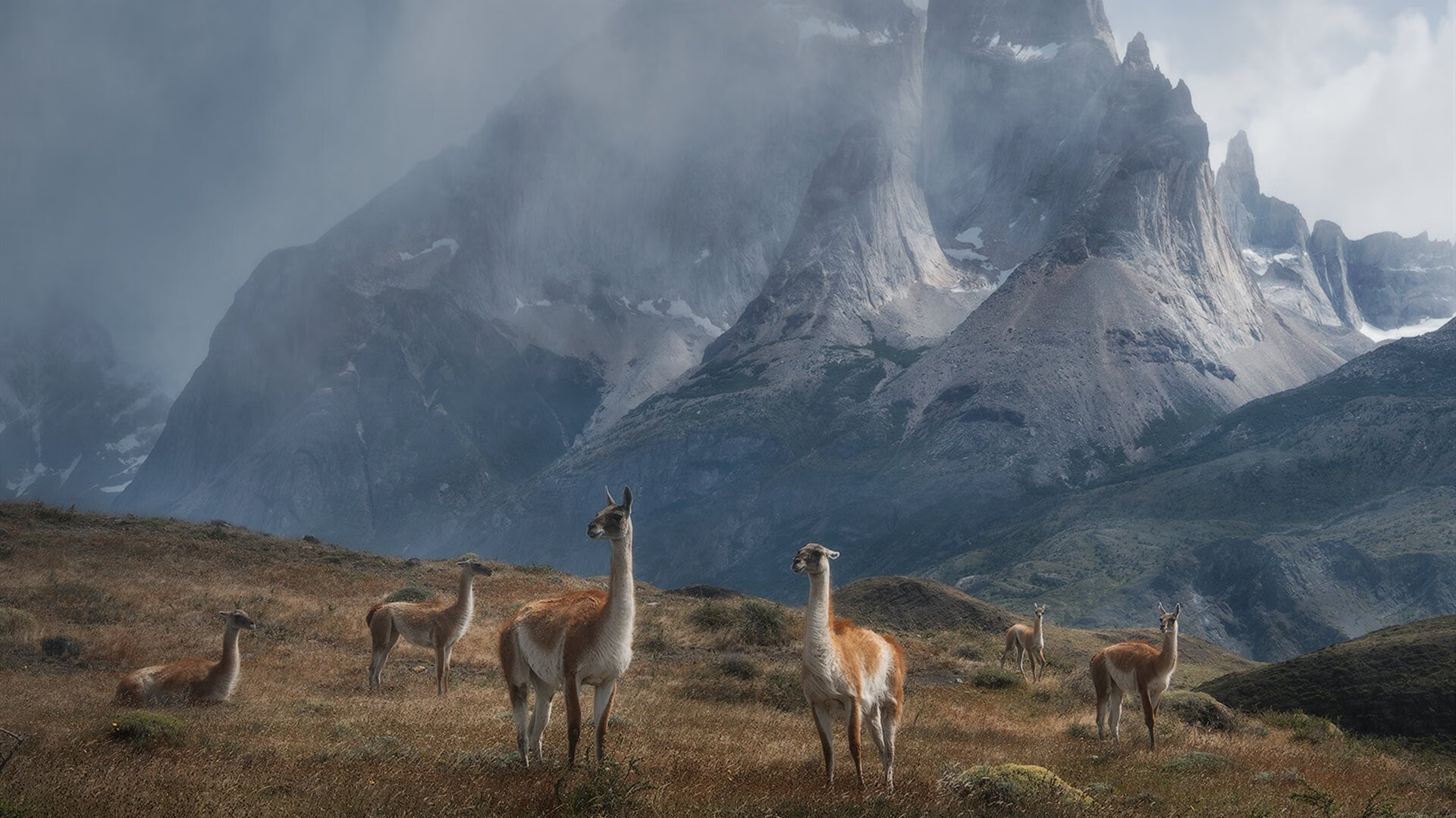 尼斯收割里昂，蒂亚戈一锤定音锁定胜局
