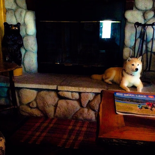 欧冠风云录，萨拉赫关键回合定乾坤，曼联火力全开压巴萨