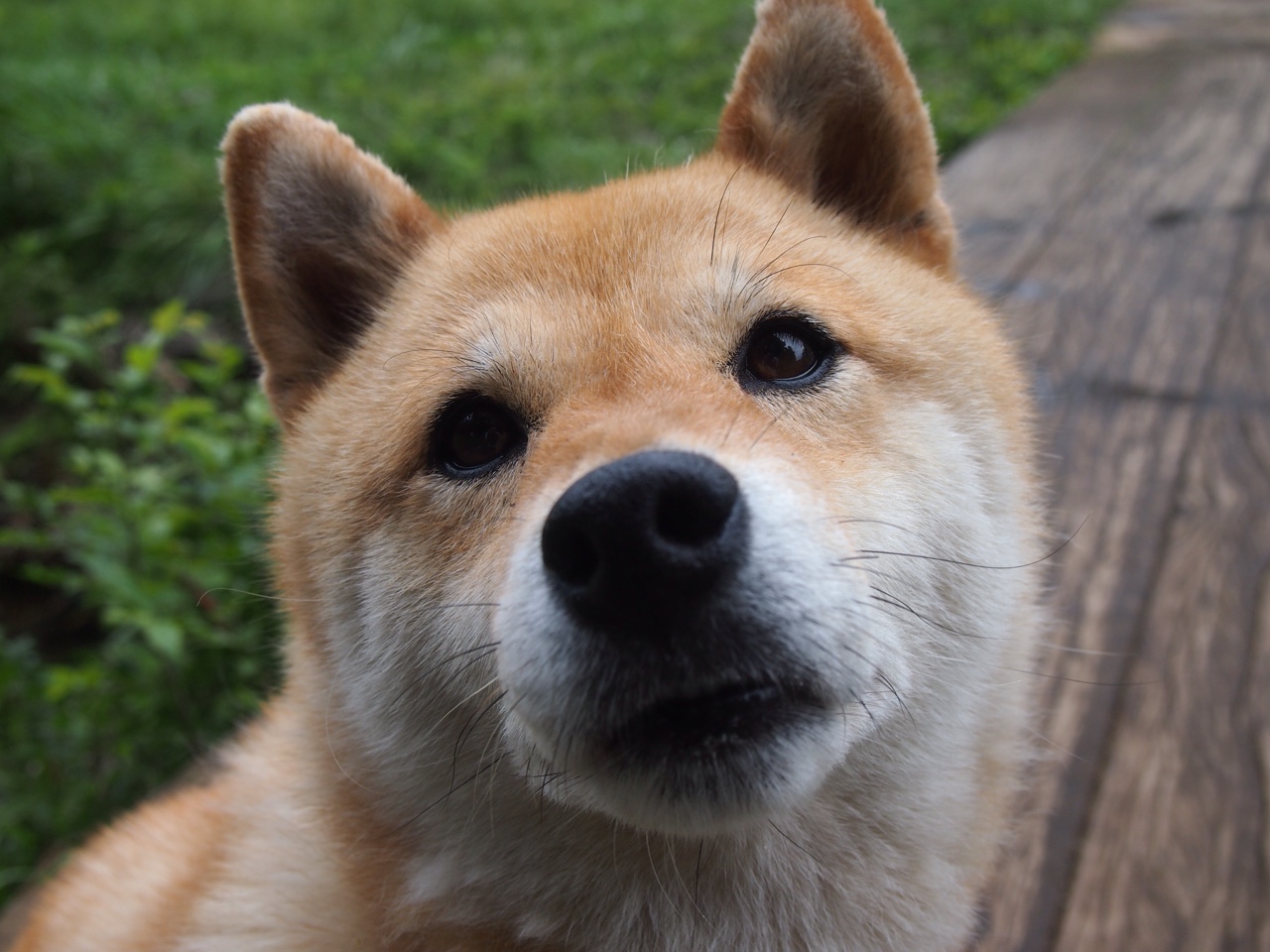 开云官网-绝境与荣光，乔治一投，定义东北篮球的铮铮傲骨