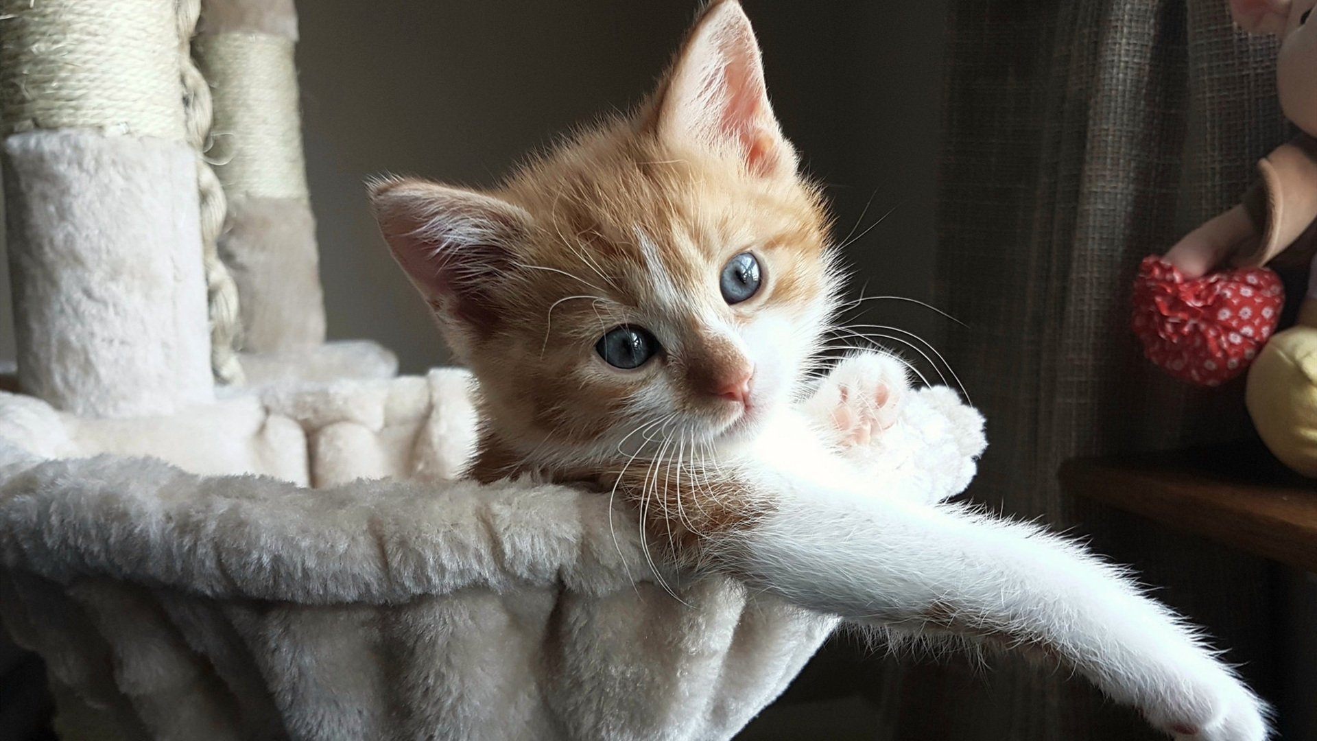 防守之魂，克莱如何为上海铸就禁飞区，击溃公牛狂潮？