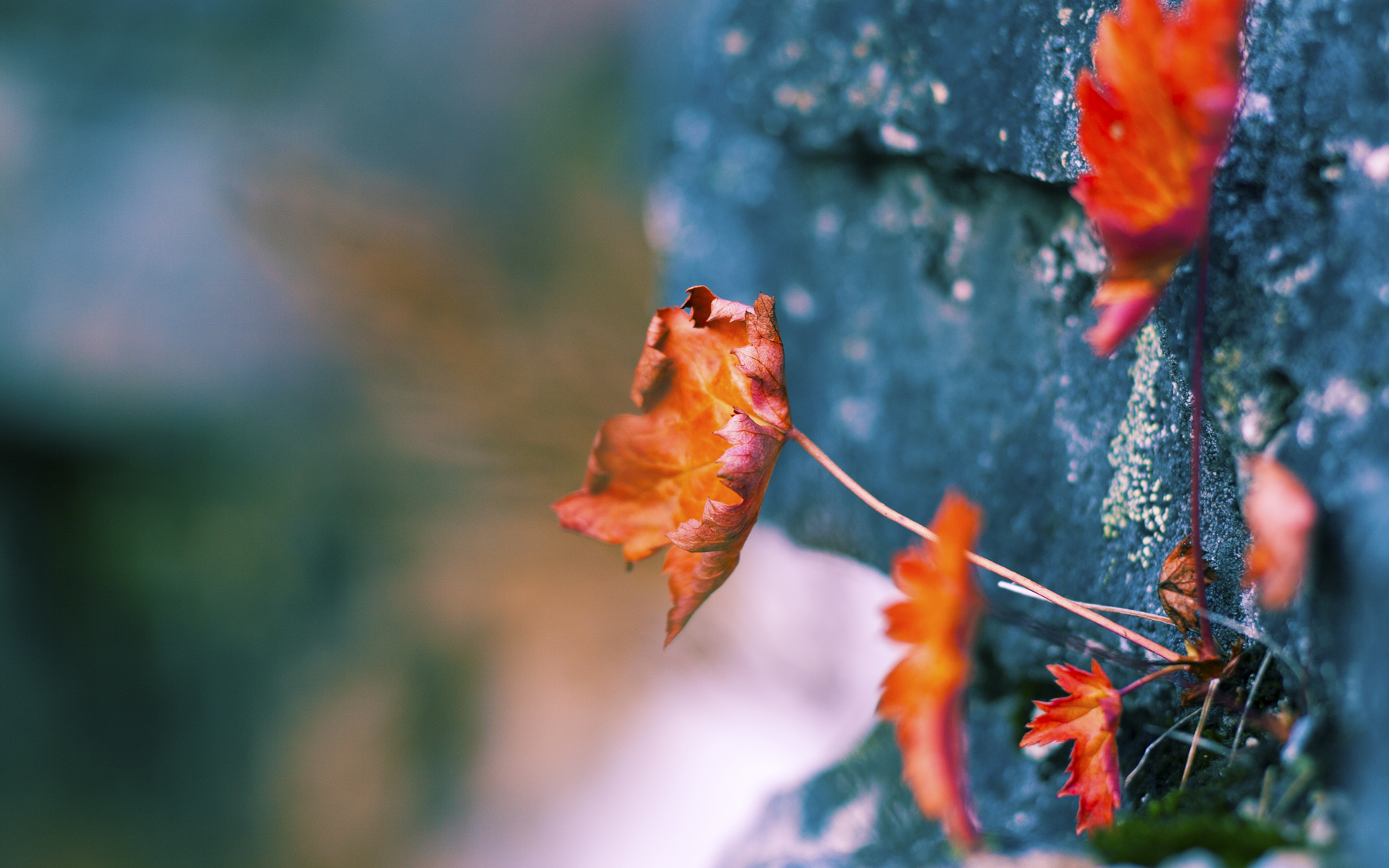 钢铁与丝绸，两种胜利，同一种篮球意志