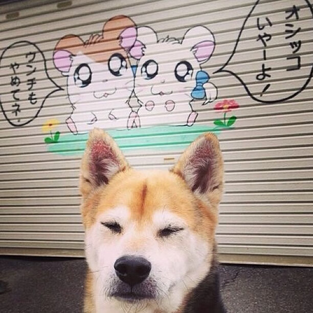 意甲焦点战中的战术启示，浙江队如何以战术压制开拓者