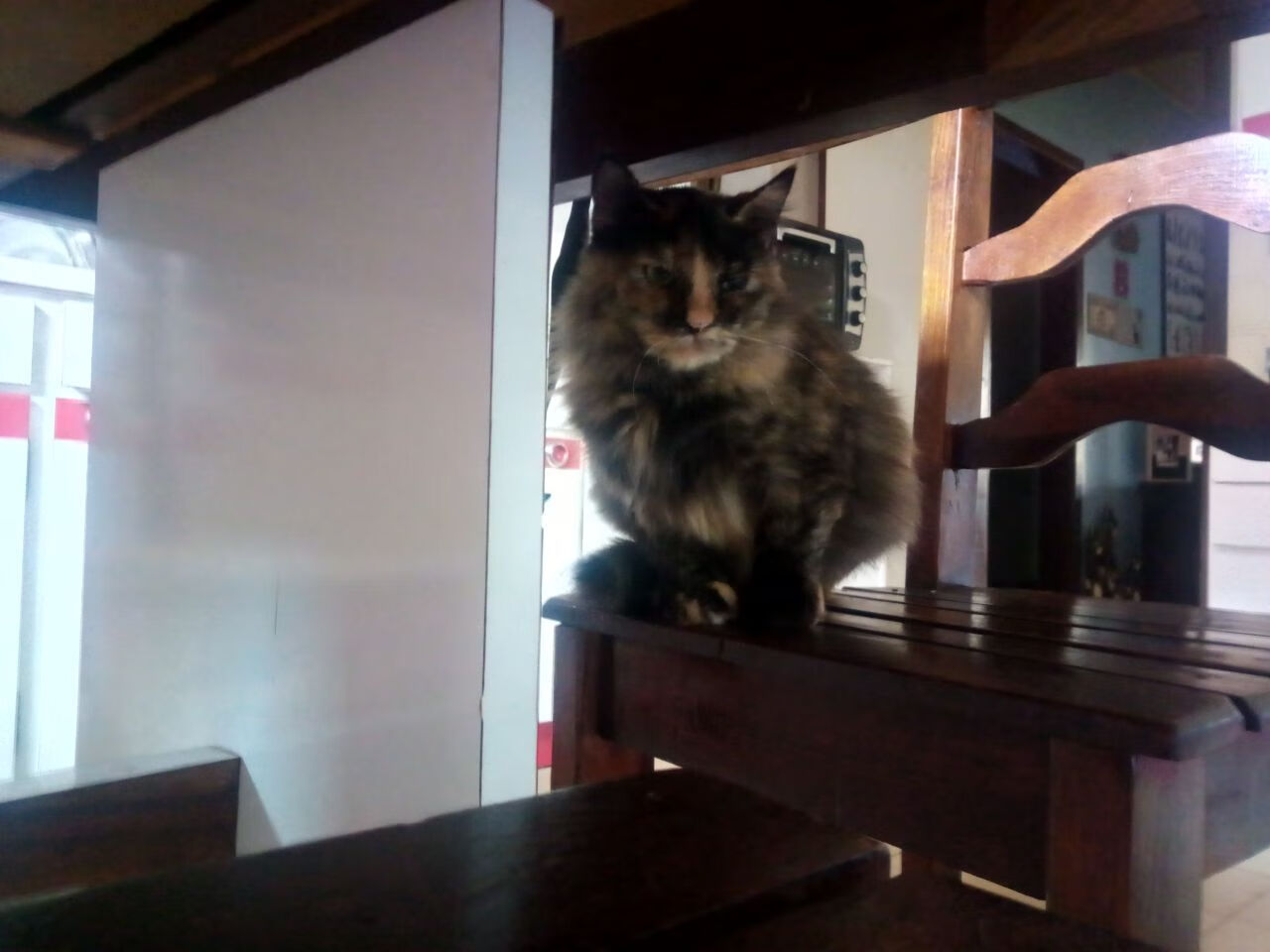 竞技场无界，从塞维利亚的足球疆场到戈麦斯的F1赛道，胜利的法则从未如此相通