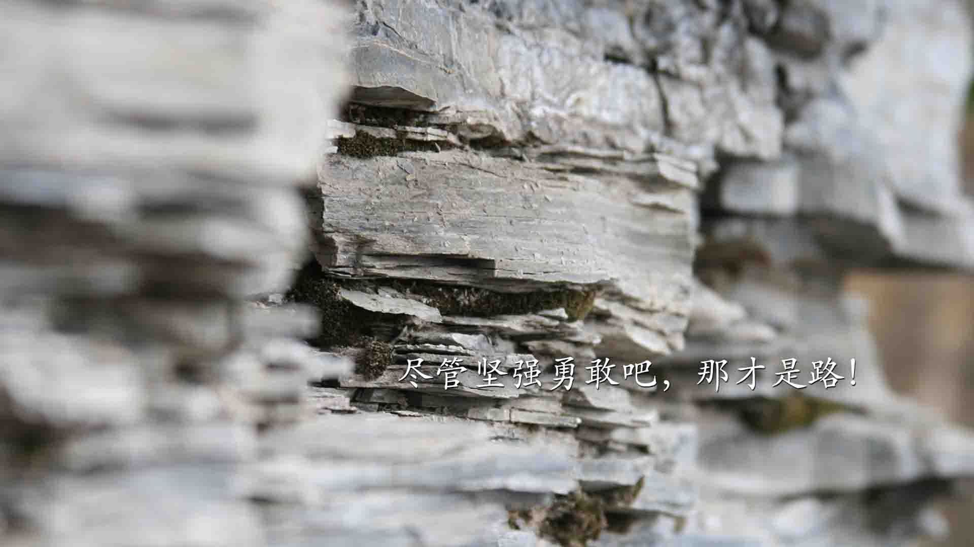 开云体育入口-冲破底特律铁幕，文班亚马风暴席卷联盟